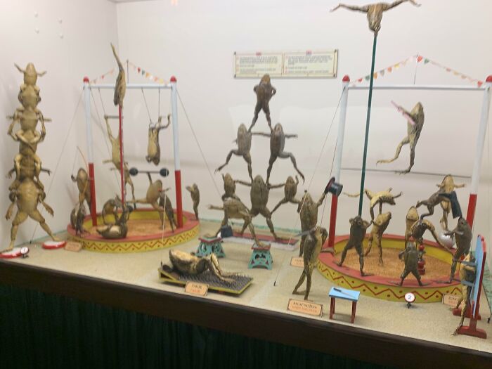 image-20260401122532-1