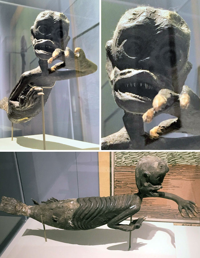 image-20260401122557-8