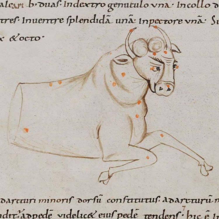 image-20260401152031-2