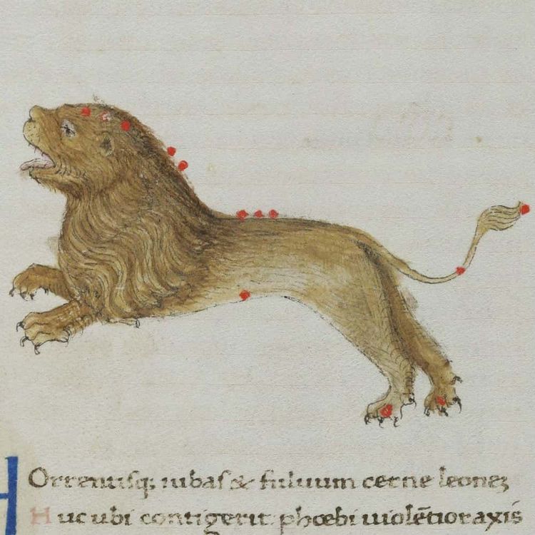 image-20260401152042-5