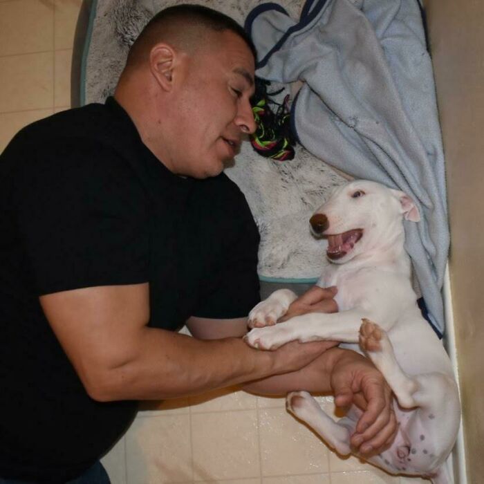 image-20260402181541-16