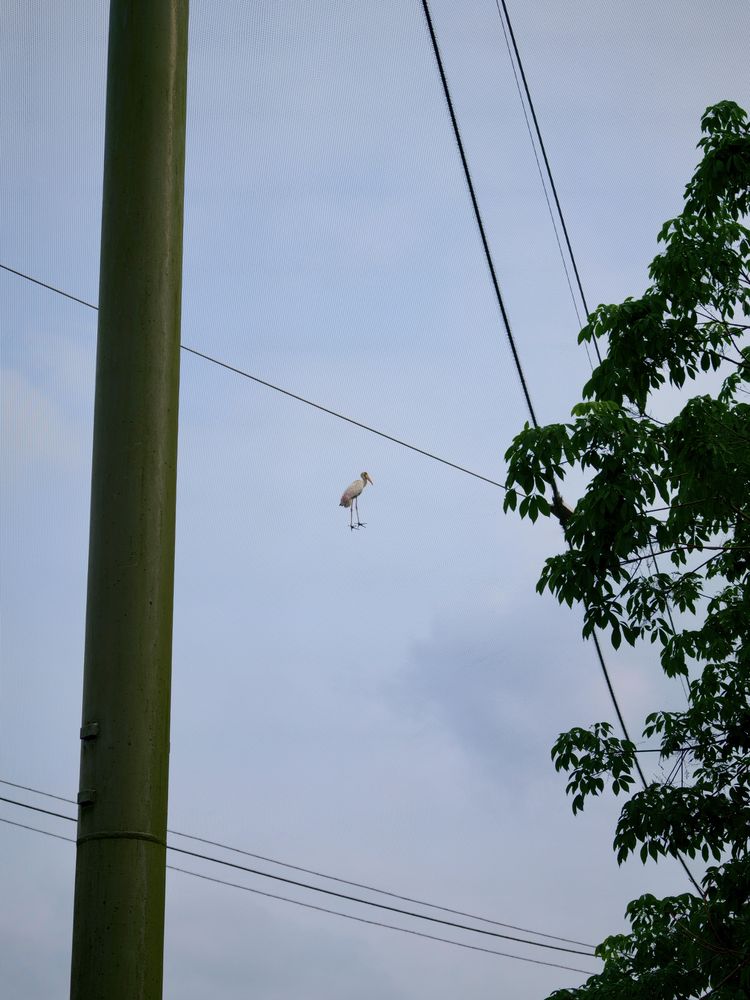 image-20260403164259-1