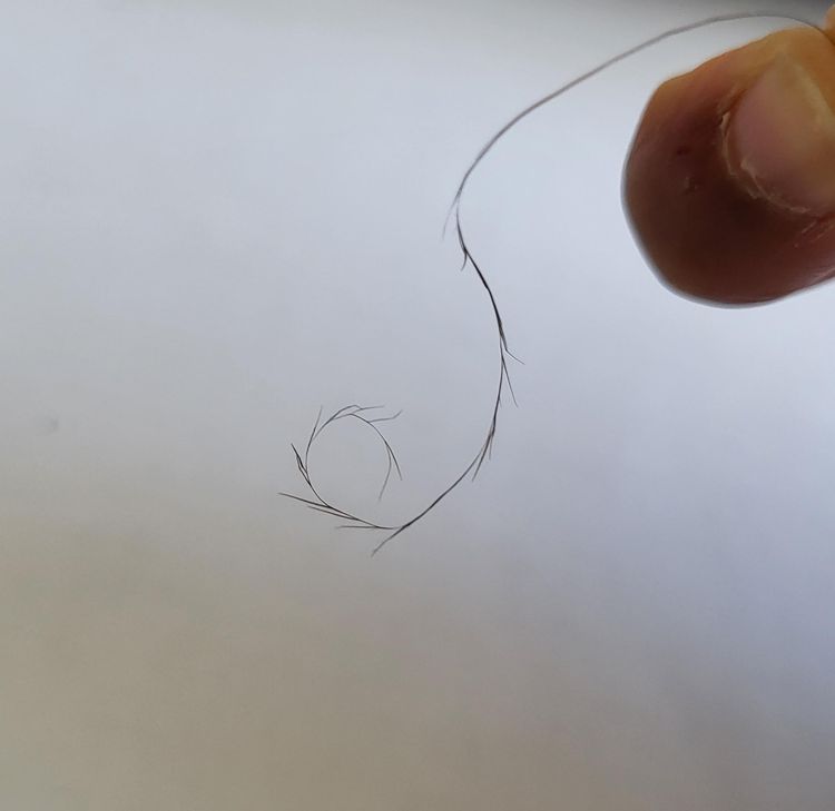 image-20260403164304-3