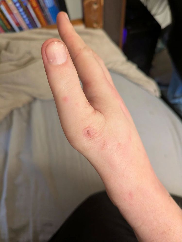 image-20260403164311-5