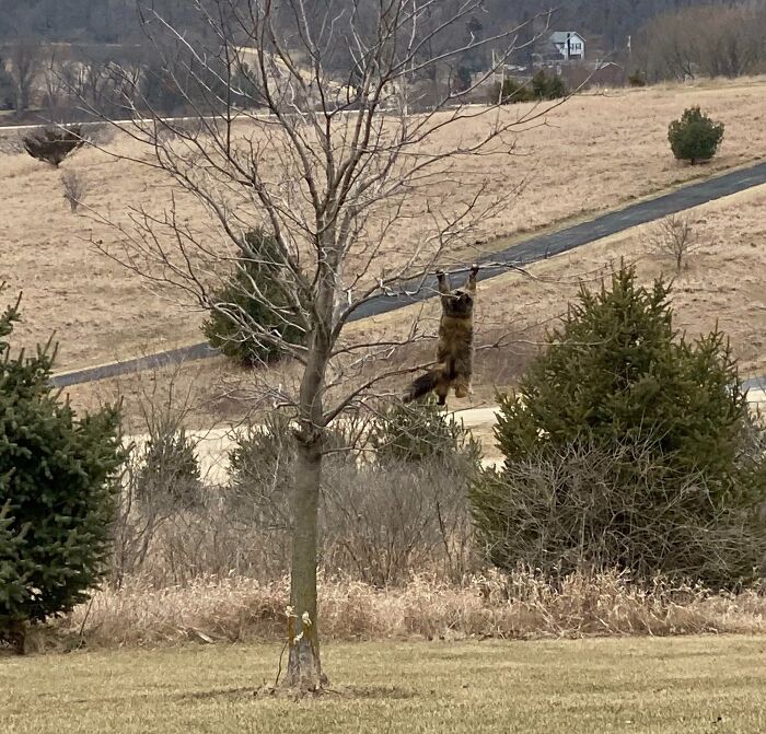 image-20260403205258-2