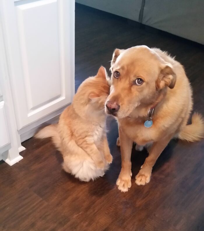 image-20260403205301-3