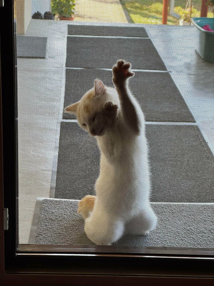 image-20260403205342-6