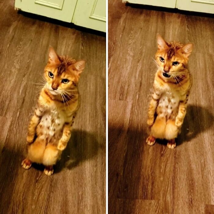 image-20260403205352-9