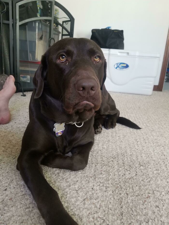 image-20260403205403-12