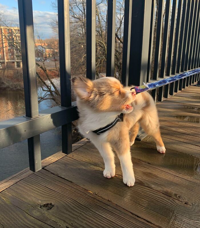 image-20260403205407-13