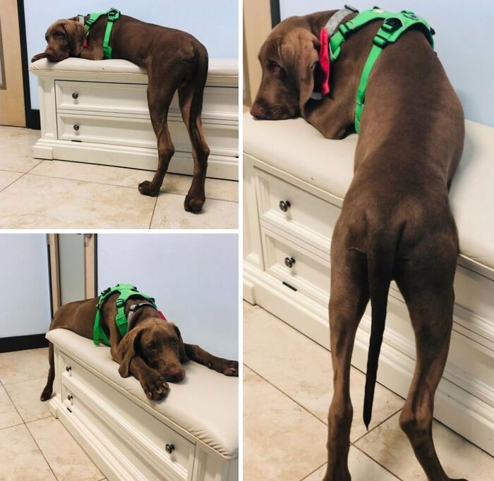 image-20260403205410-14