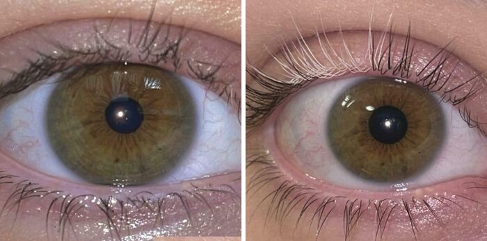 image-20260406150809-12