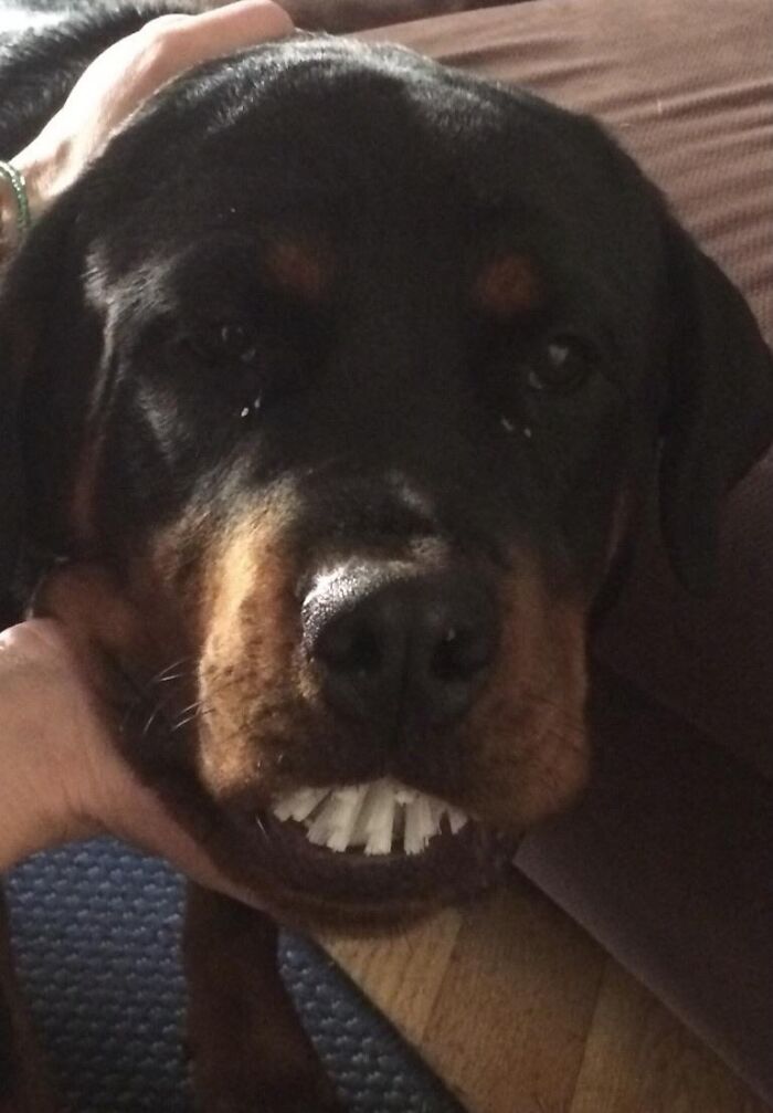 image-20260406171159-7