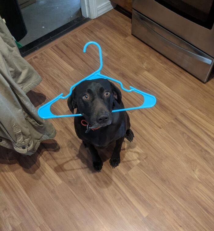 image-20260406171202-8