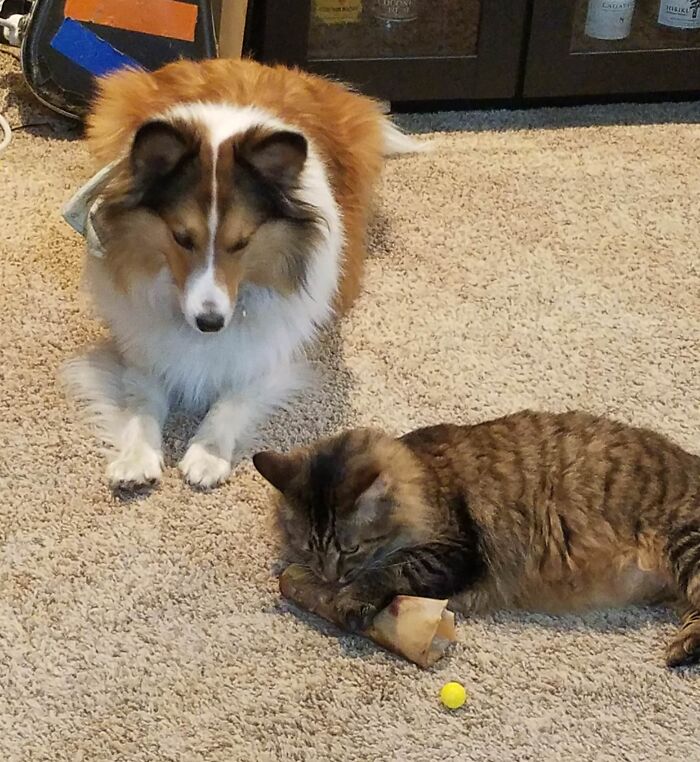 image-20260406171309-15