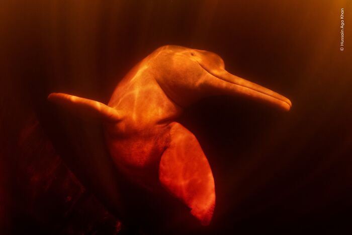 image-20260407115657-7