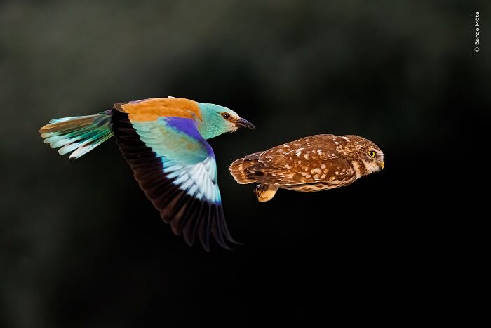 image-20260407115722-12