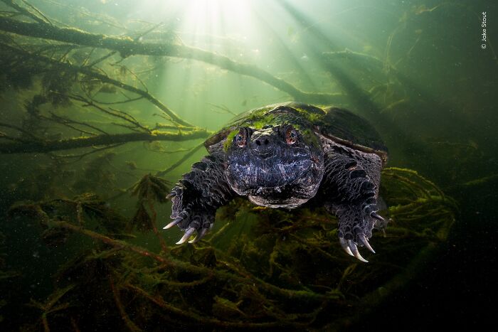 image-20260407115731-15