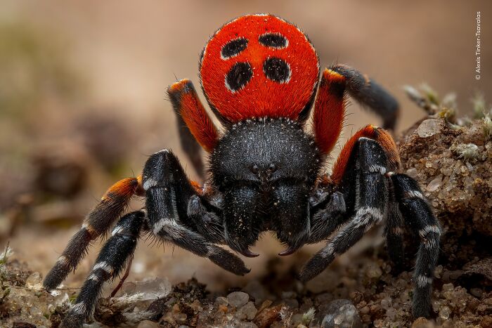 image-20260407115740-18