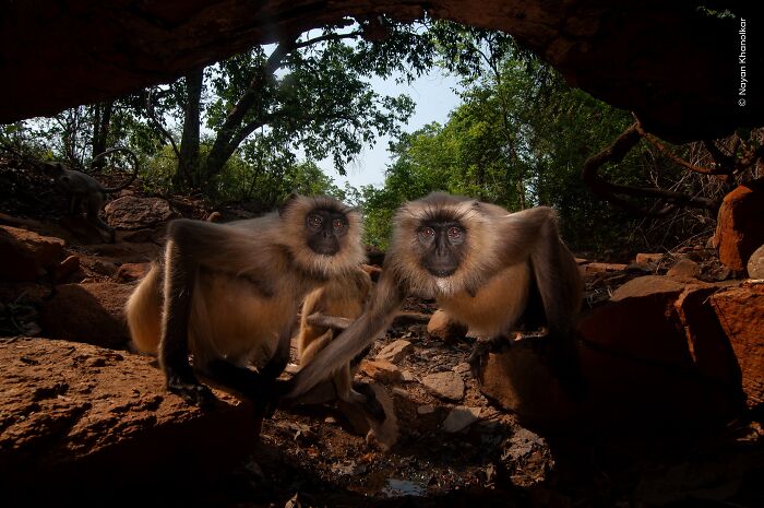 image-20260407115743-19