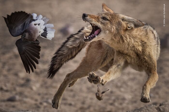 image-20260407115746-20