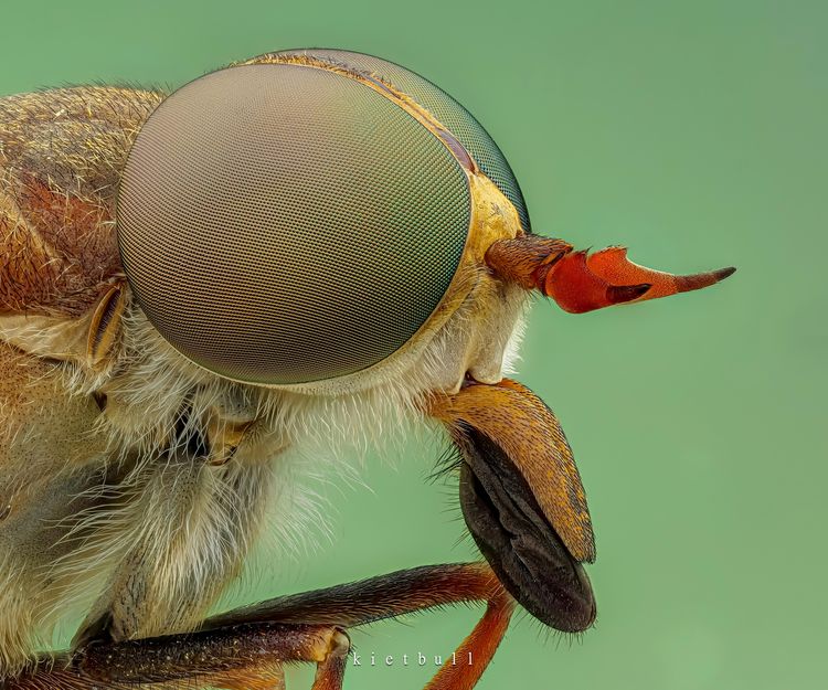 image-20260407125946-1