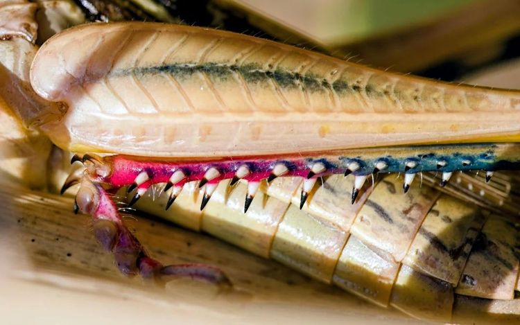 image-20260407125951-3