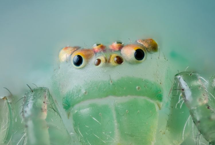 image-20260407125959-5