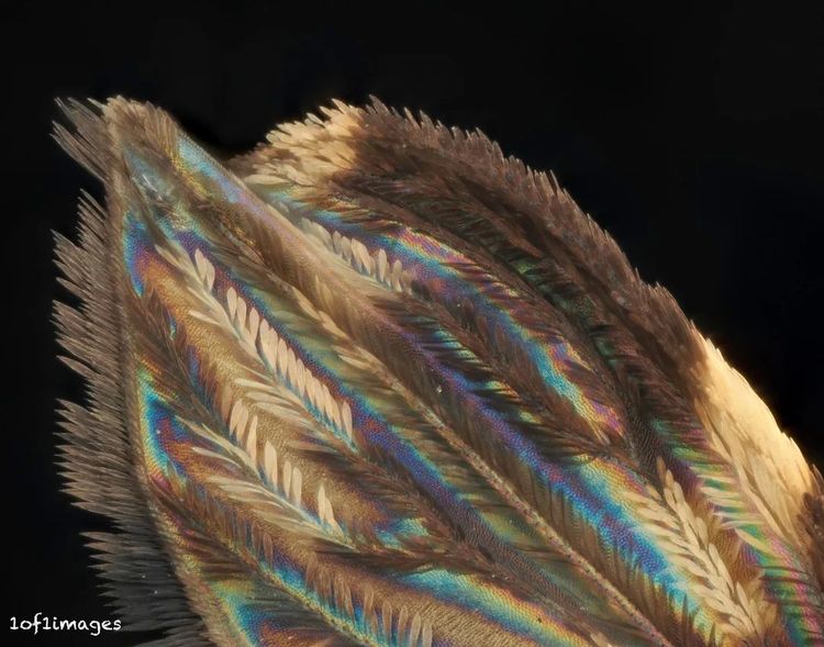 image-20260407130002-6