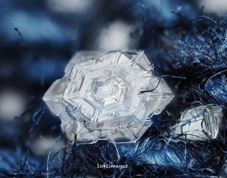 image-20260407130006-8