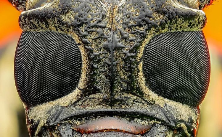 image-20260407130010-9