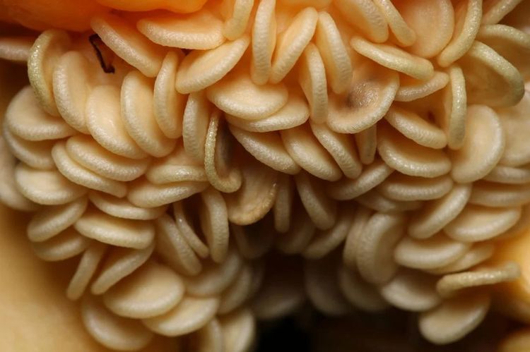 image-20260407130012-10