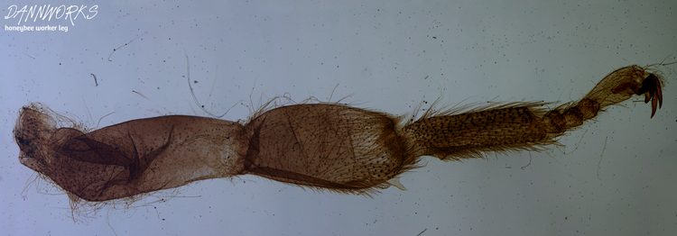 image-20260407130018-12