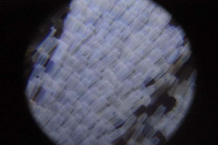 image-20260407130024-13