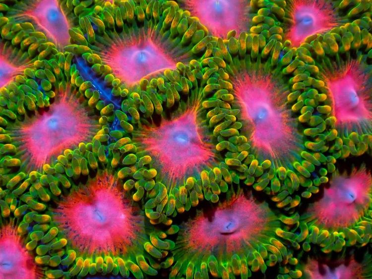 image-20260407130029-15