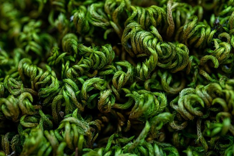 image-20260407130032-16