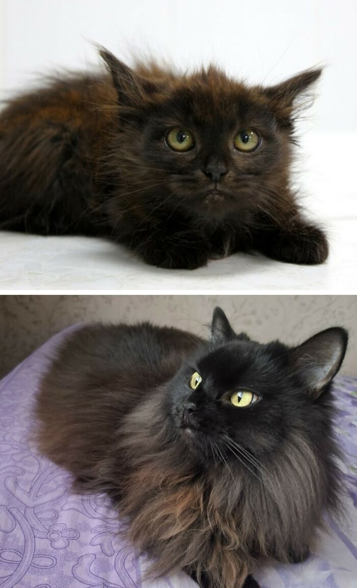 image-20260407143803-8