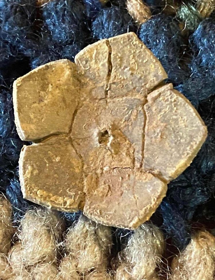 image-20260408162346-16