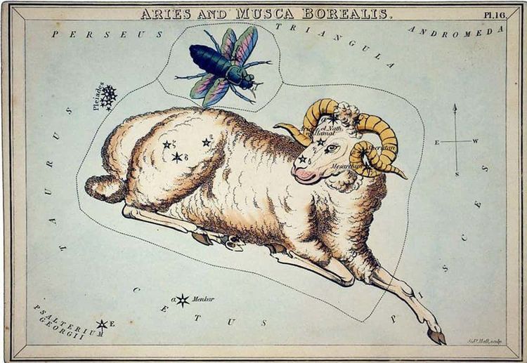 image-20260409164537-1