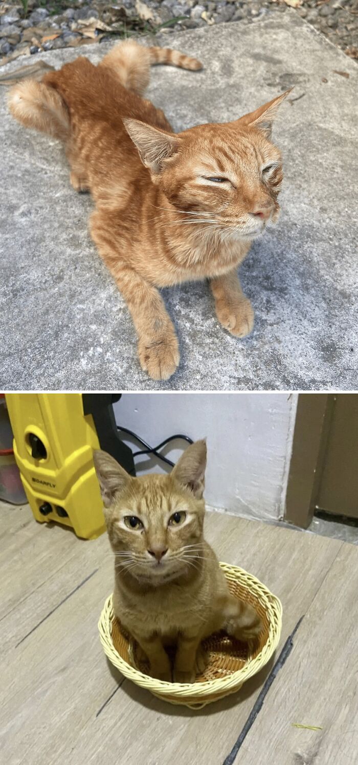 image-20260409173807-3