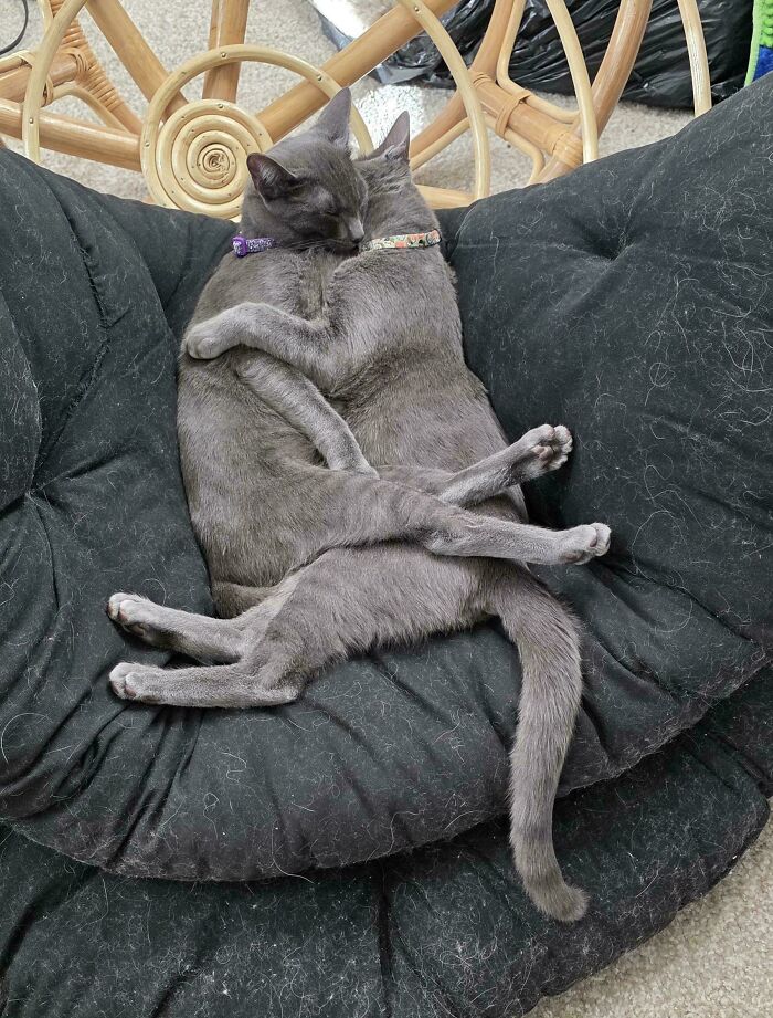 image-20260409174011-6