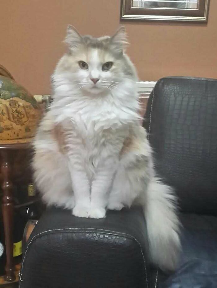 image-20260409174014-7