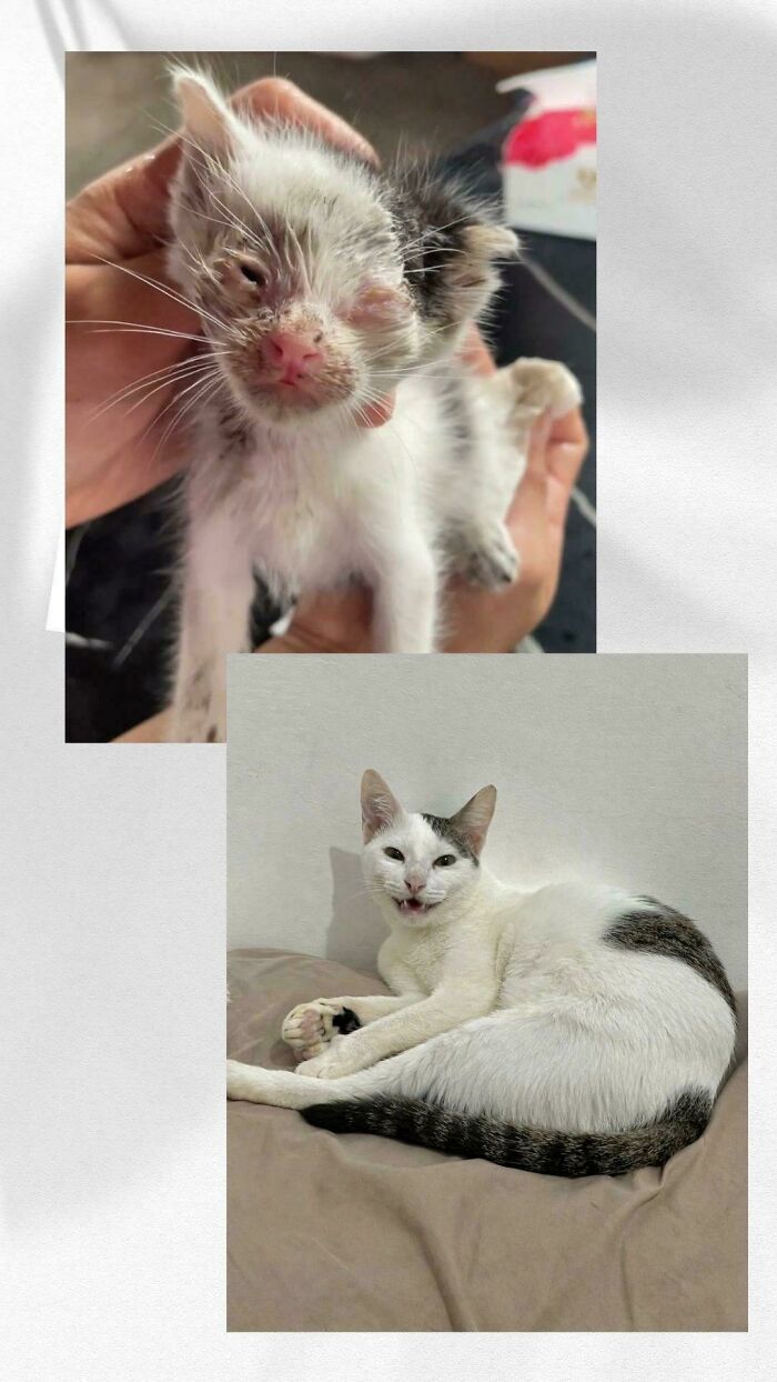 image-20260409174017-8