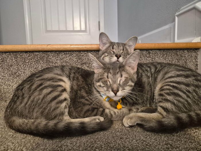 image-20260409174024-10