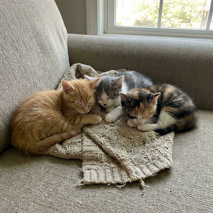 image-20260409174030-12