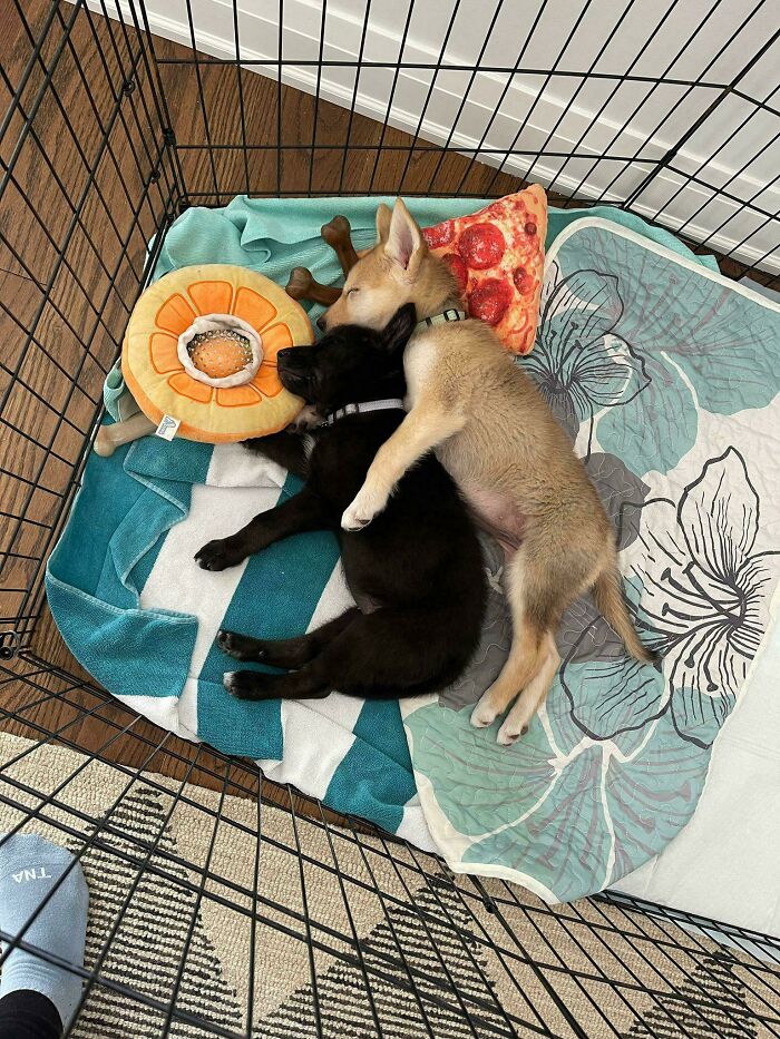 image-20260409174034-13