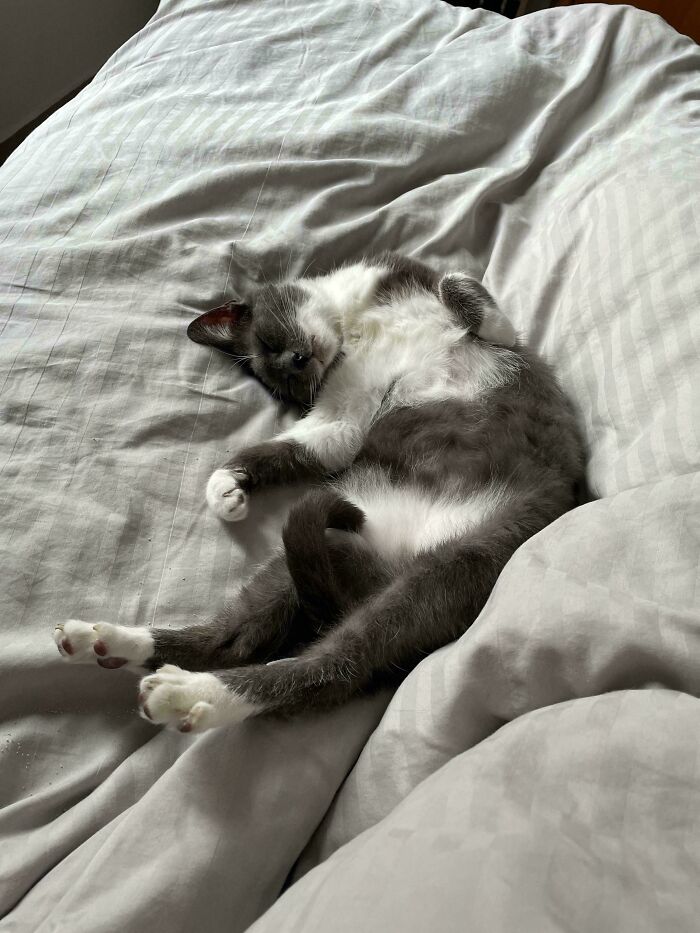 image-20260409174038-14