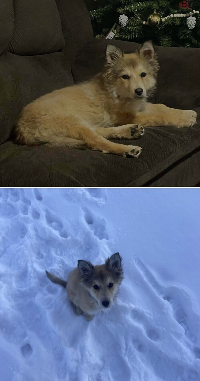 image-20260409174044-16