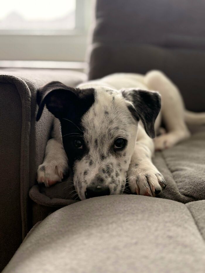 image-20260409174047-17