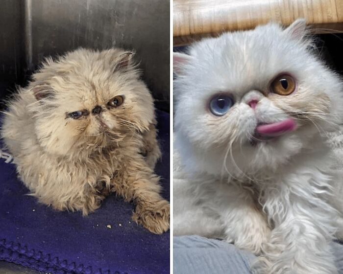 image-20260409174049-18